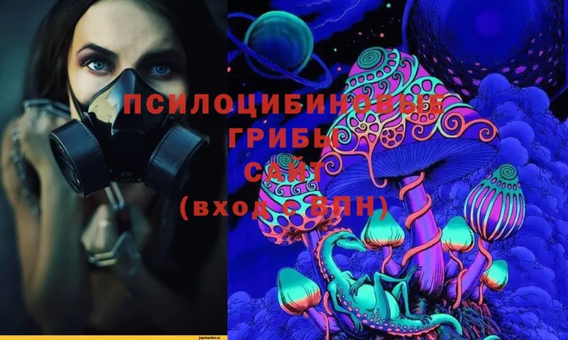 Галлюциногенные грибы Cubensis Вышний Волочёк